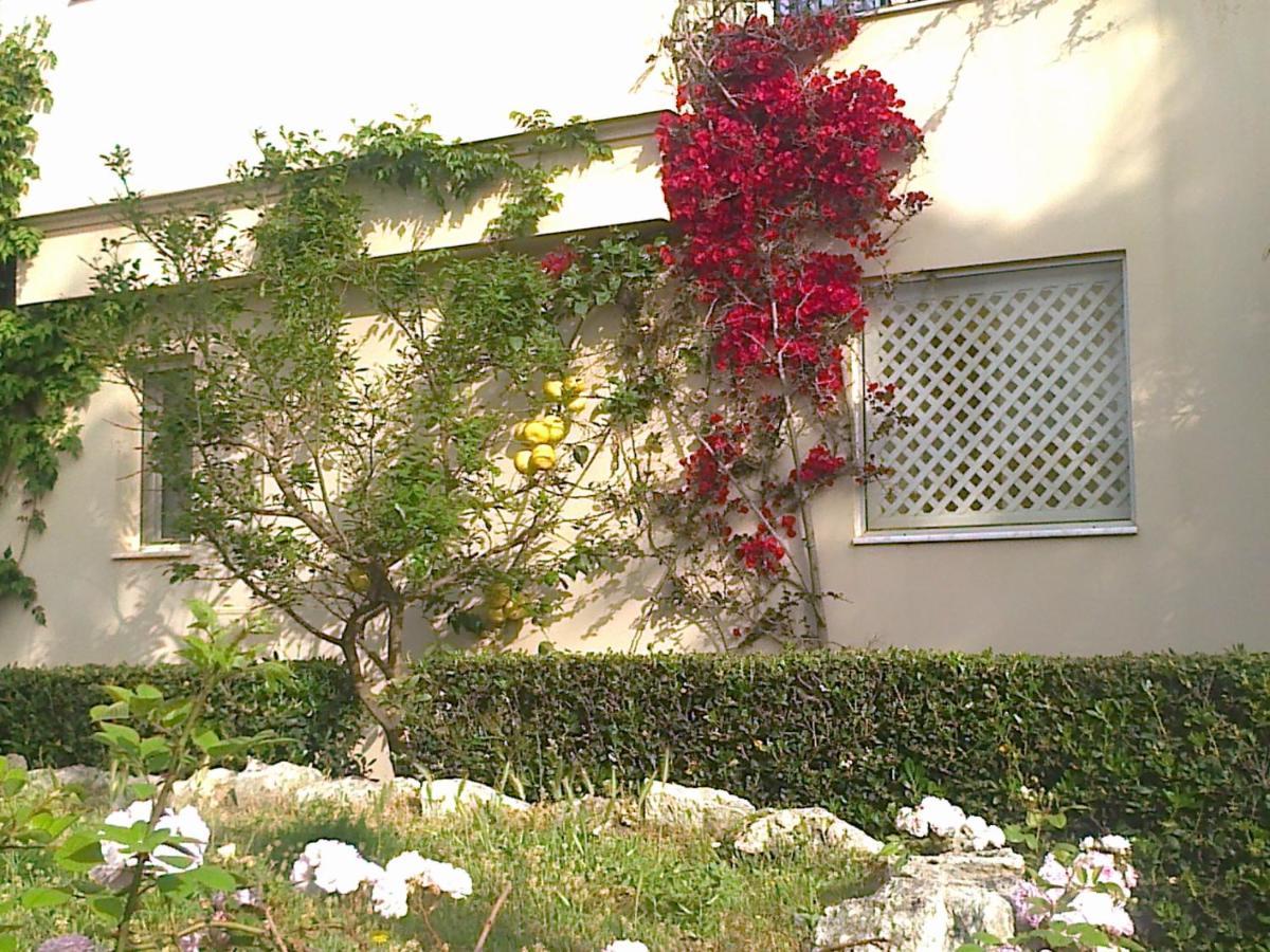 Apartament Leon Maleme Do 6 Os.アパートメント エクステリア 写真